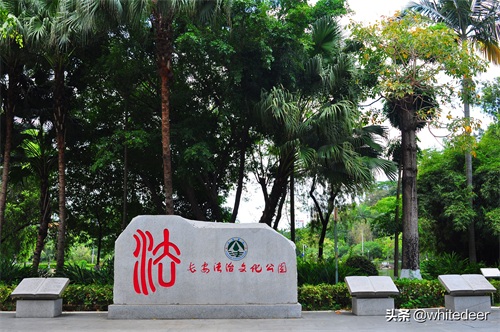 随拍公园 - 东莞 长安公园