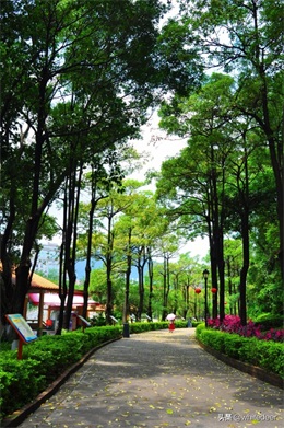 随拍公园 - 东莞 长安公园