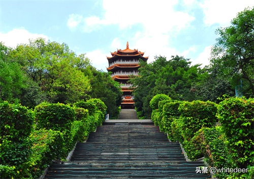 随拍公园 - 东莞 长安公园