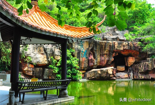 随拍公园 - 东莞 长安公园