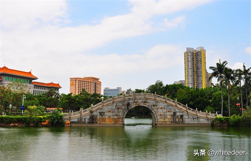 随拍公园 - 东莞 长安公园