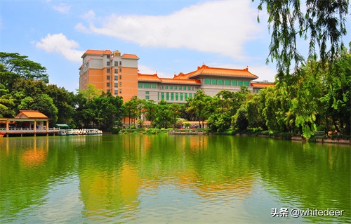 随拍公园 - 东莞 长安公园