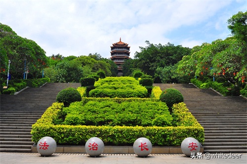 随拍公园 - 东莞 长安公园