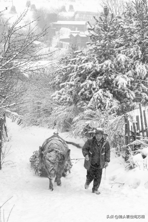中国雪村吉林临江松岭，冰雪童话王国 你去过吗