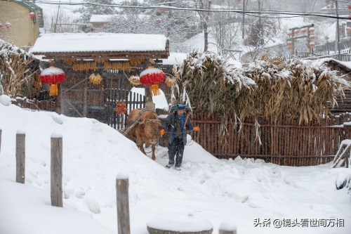 中国雪村吉林临江松岭，冰雪童话王国 你去过吗