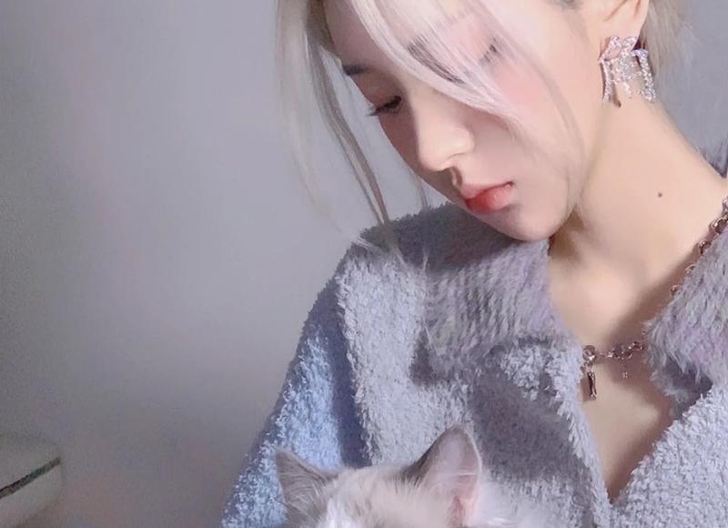 弟年公司年会对联