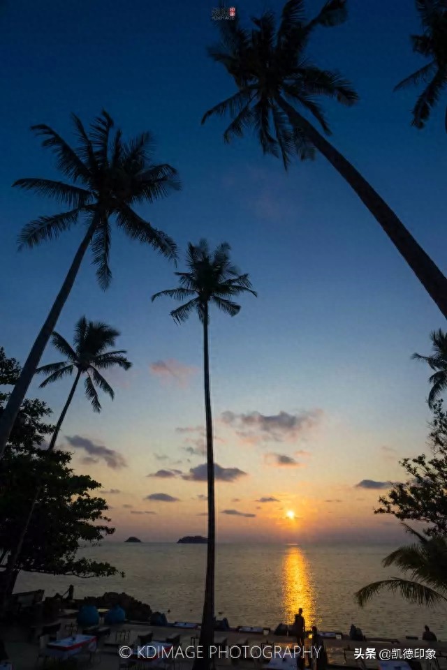 因《中餐厅》爆红的象岛,到底好不好玩?