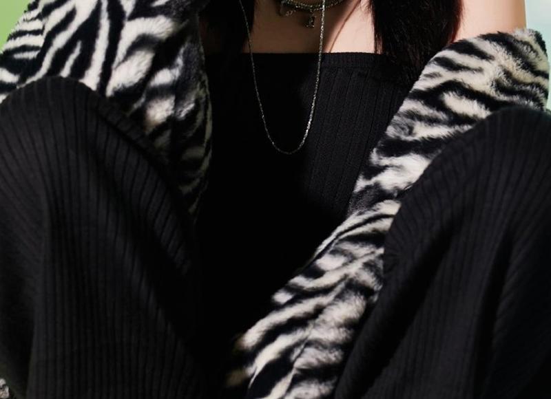 秋天开什么花有哪些 广州秋天开什么花