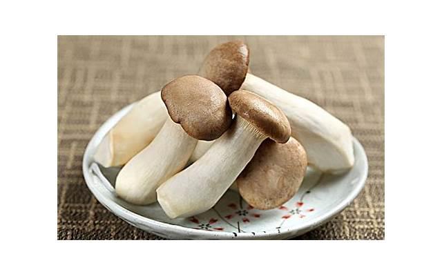 茯苓薏湿茶的功效和禁忌