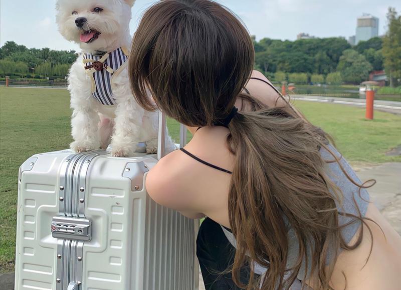 绿了男友心能挽回吗（绿过我的男友）